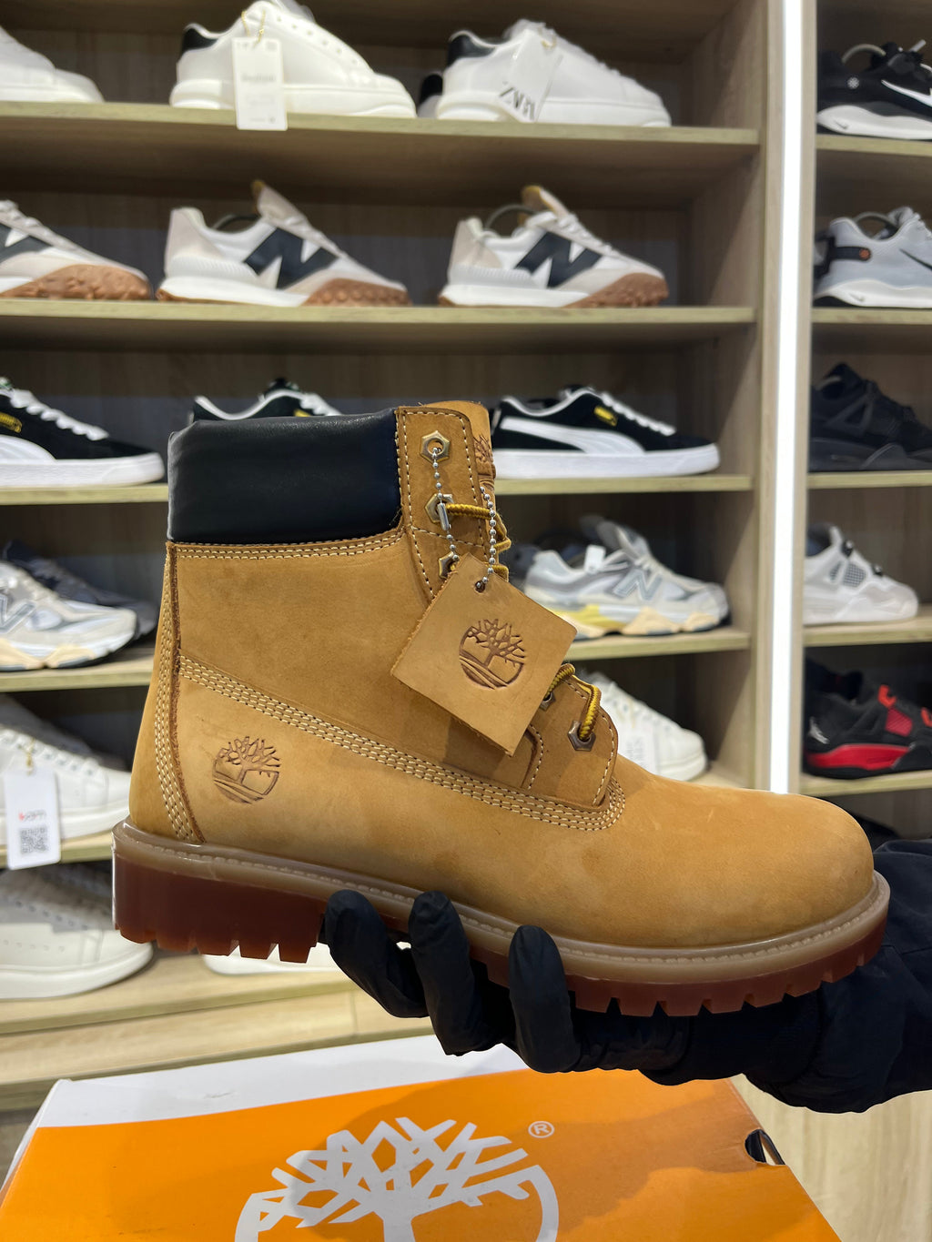 Timberland havan